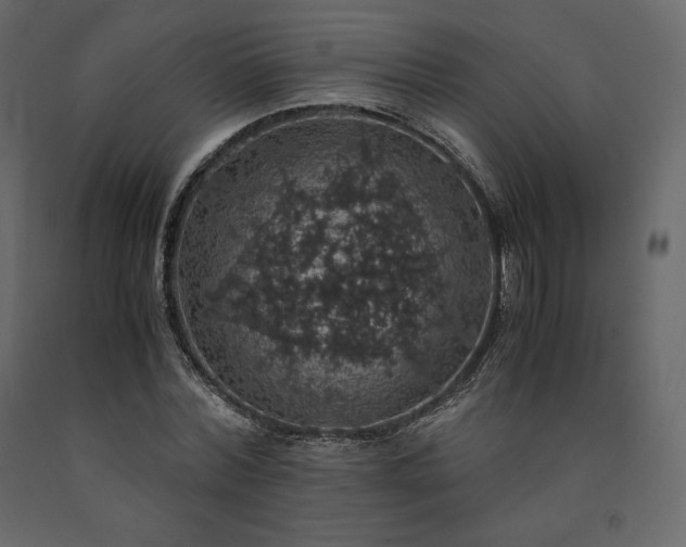 X0000091550780200708241754