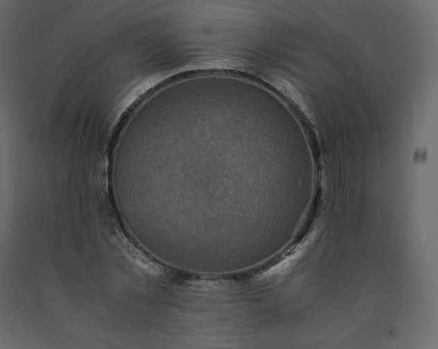 X0000091550781200708241754