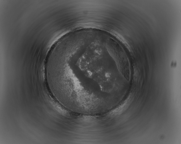 X0000091550782200708241754