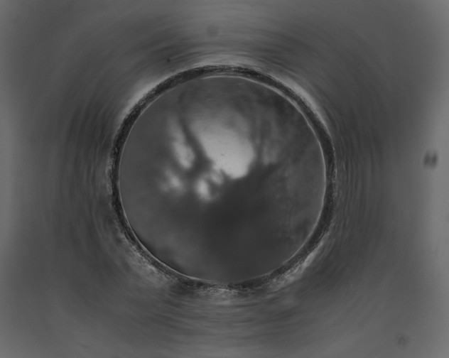 X0000091550783200708241754