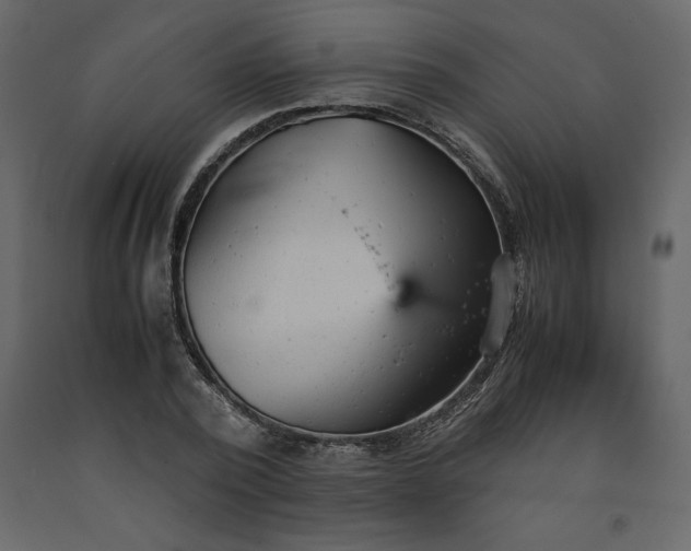 X0000091550784200708241754