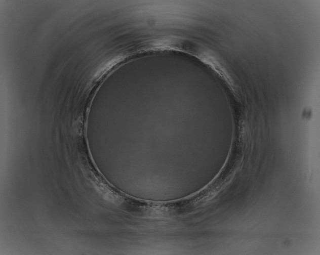 X0000091550785200708241754