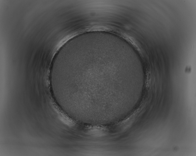 X0000091550786200708241754