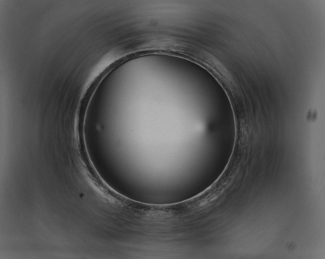 X0000091550788200708241754