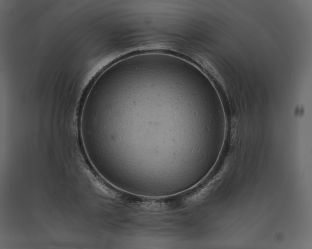 X0000091550789200708241754