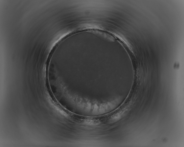 X0000091550790200708241754