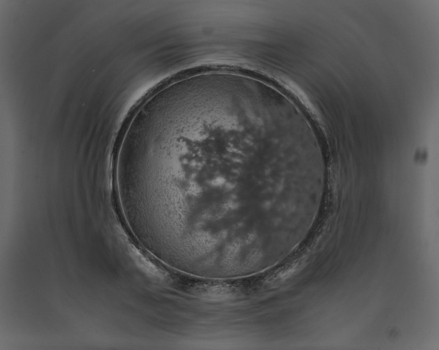 X0000091550791200708241754