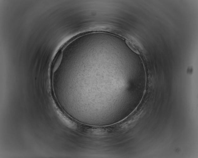 X0000091550792200708241754
