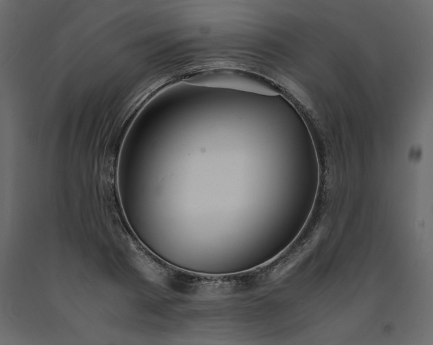 X0000091550793200708241754