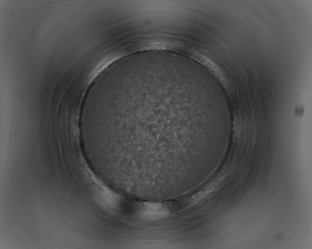 X0000091550794200708241754