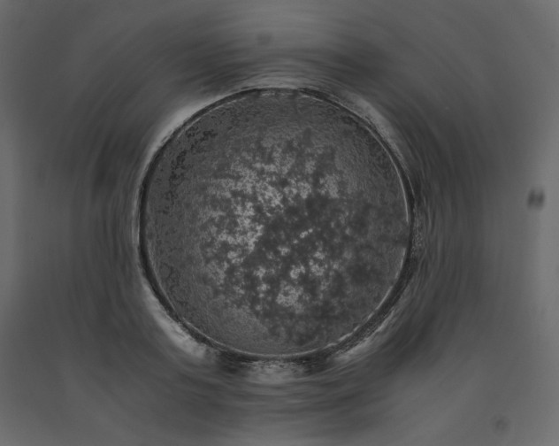 X0000091550795200708241754