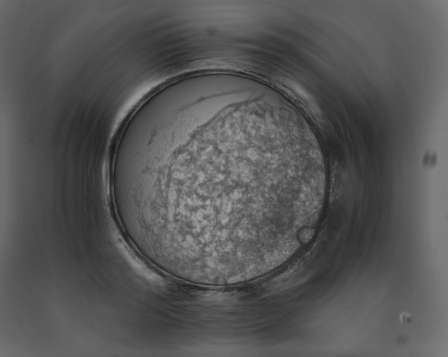 X0000091550796200708241754