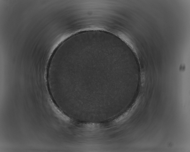 X0000091550797200708241754