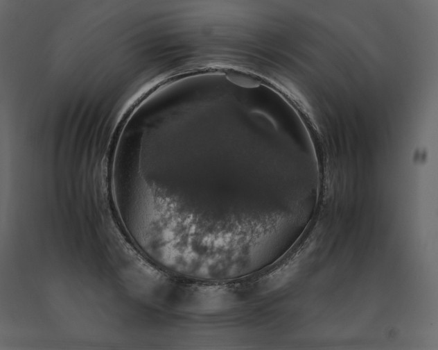X0000091550798200708241754