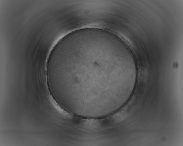 X0000091550800200708241754