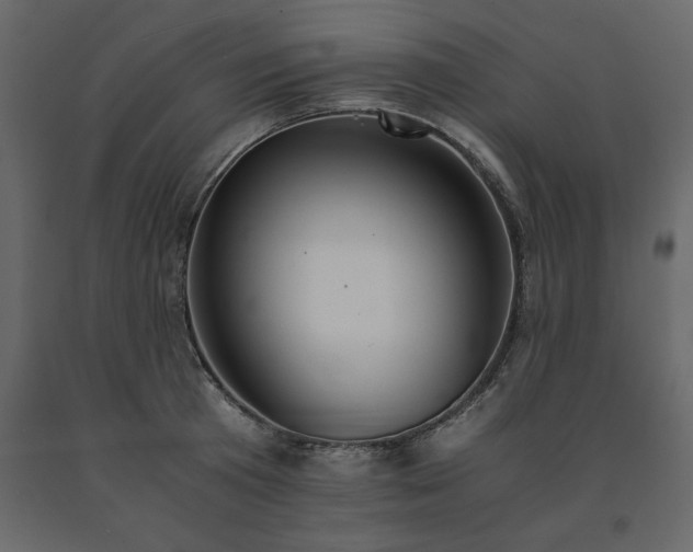 X0000091550801200708241754