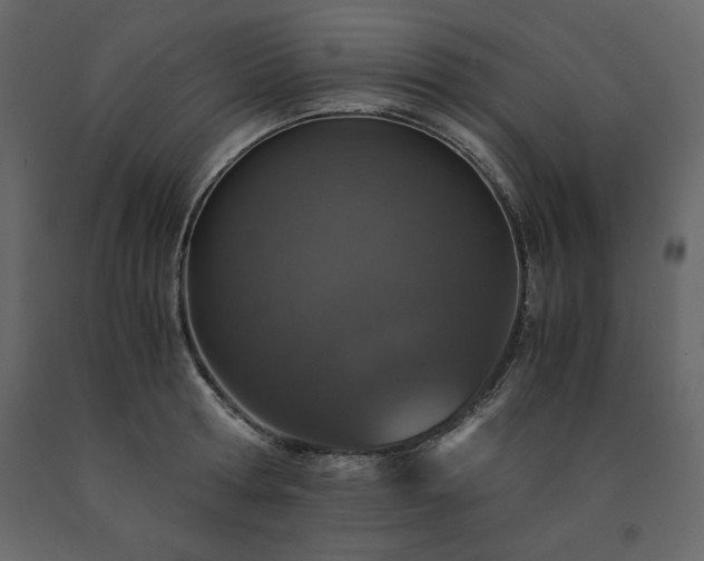 X0000091550802200708241754