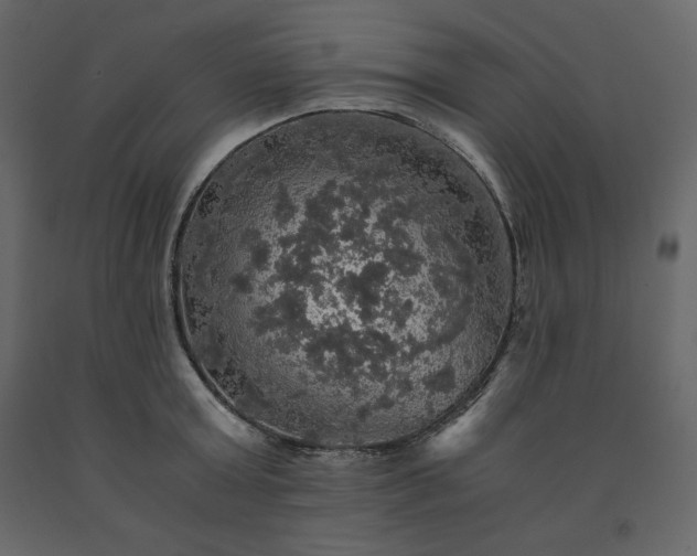 X0000091550803200708241754
