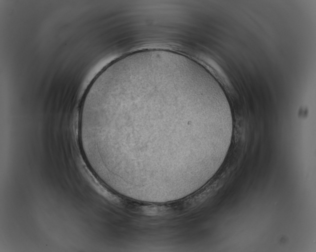 X0000091550804200708241754