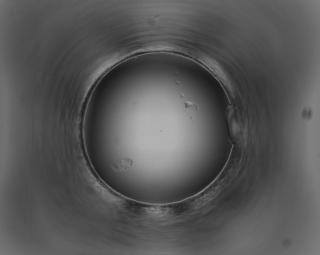 X0000091550805200708241754