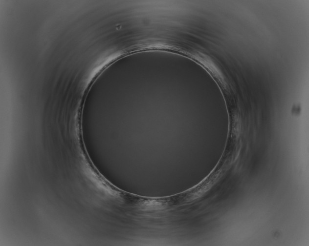 X0000091550806200708241754