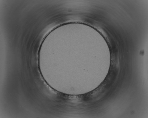 X0000091550807200708241754