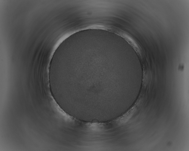 X0000091550808200708241754