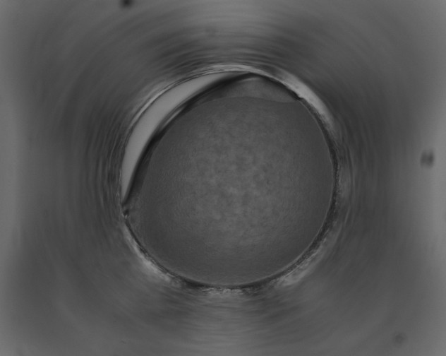 X0000091550809200708241754