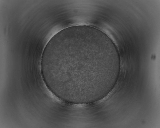 X0000091550810200708241754