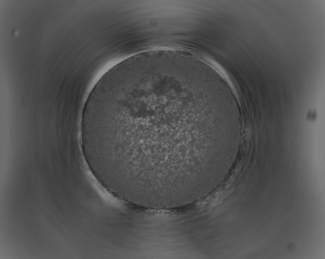 X0000091550811200708241754