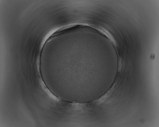 X0000091550812200708241754