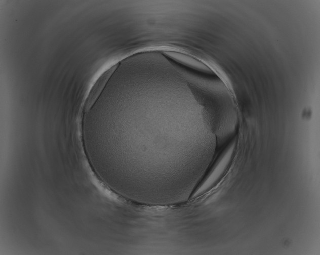 X0000091550813200708241754