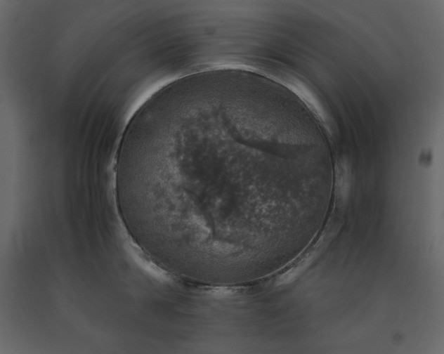 X0000091550814200708241754