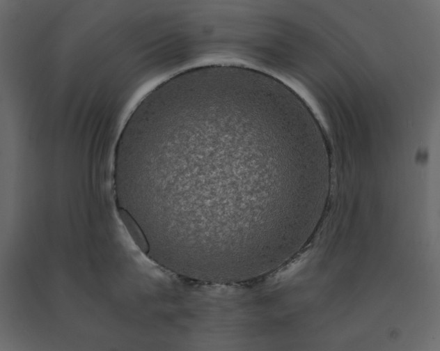 X0000091550815200708241754