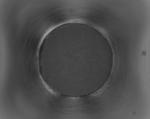 X0000091550816200708241754