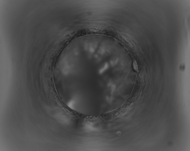 X0000091550817200708241753