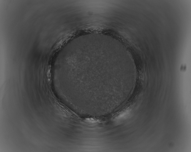 X0000091550818200708241753