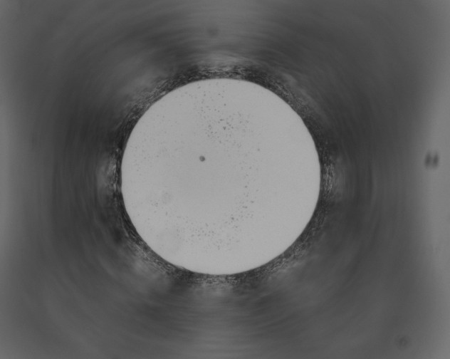 X0000091550820200708241753