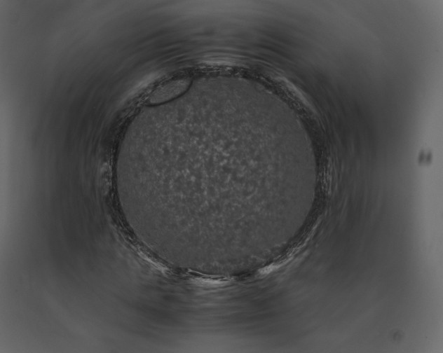 X0000091550821200708241753