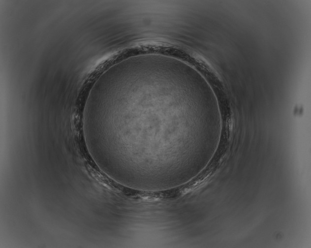 X0000091550822200708241753