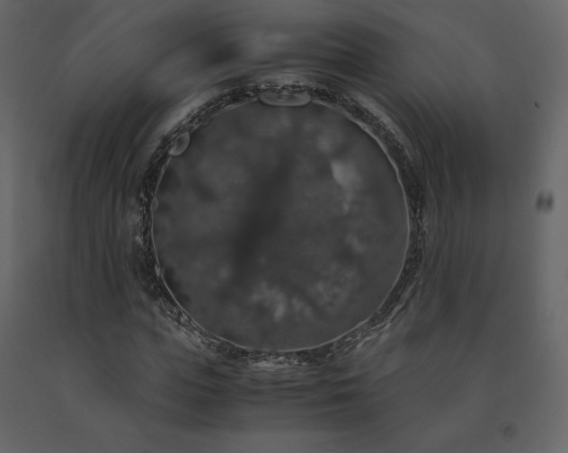 X0000091550823200708241753