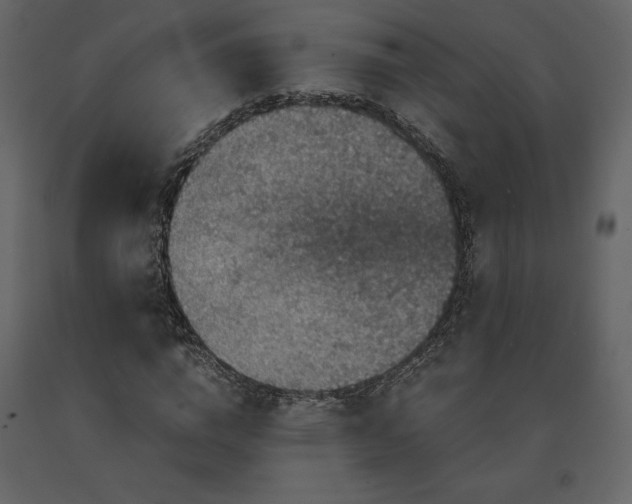 X0000091550824200708241753