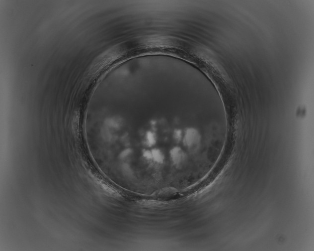 X0000091550825200708241753