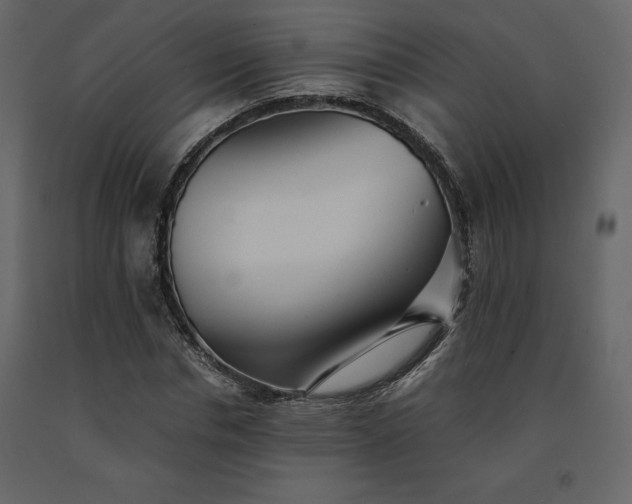 X0000091550826200708241753