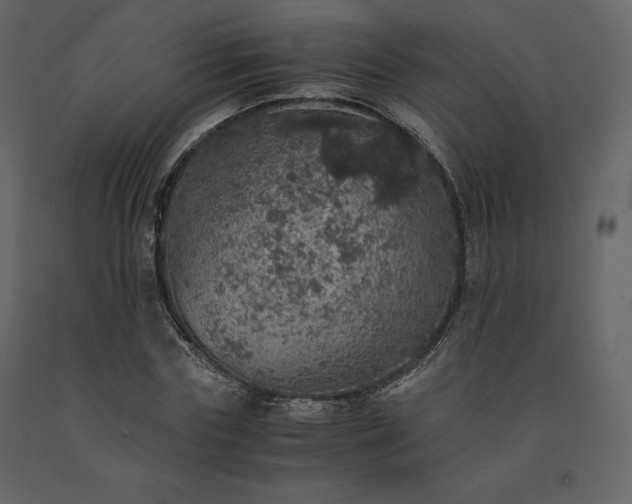 X0000091550827200708241753