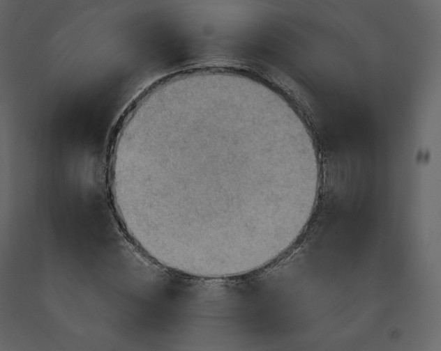 X0000091550828200708241753