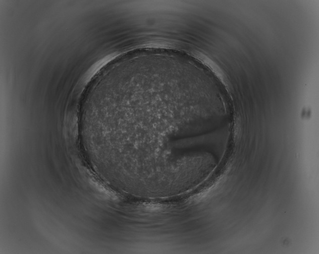X0000091550829200708241753