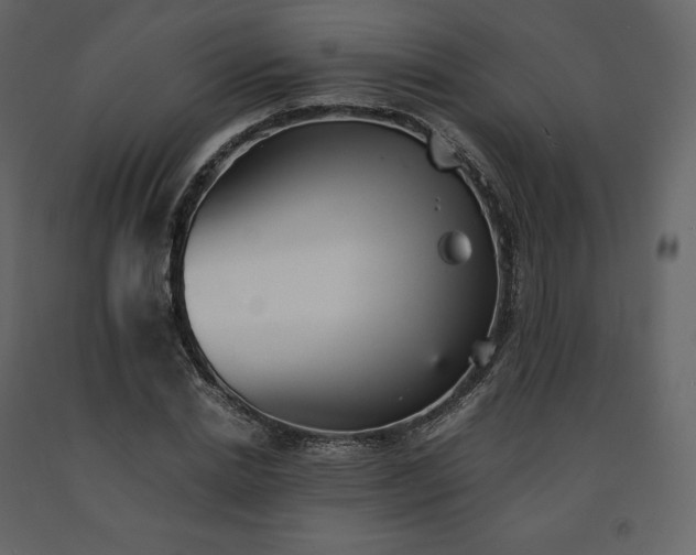 X0000091550830200708241753