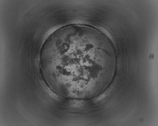 X0000091550831200708241753