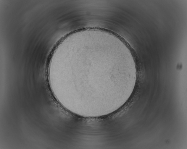 X0000091550832200708241753